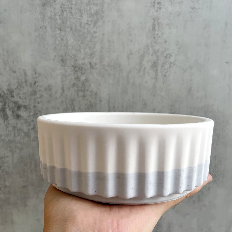 Stripe Flowerpot Silicone Mold - Echeveria Succulent avaliação e preço