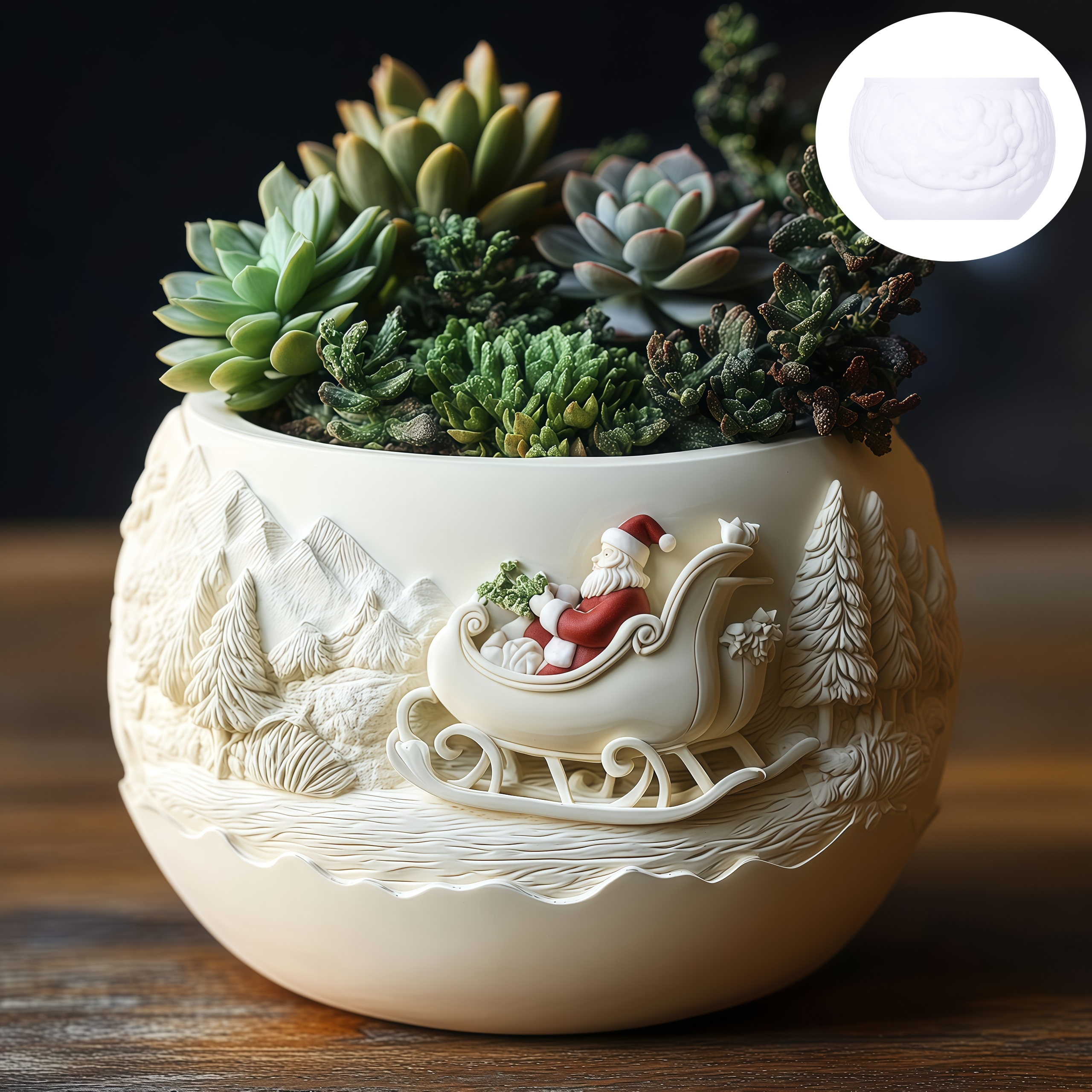 Cedar Sled Santa Claus Relief  - Echeveria Succulent avaliação e preço