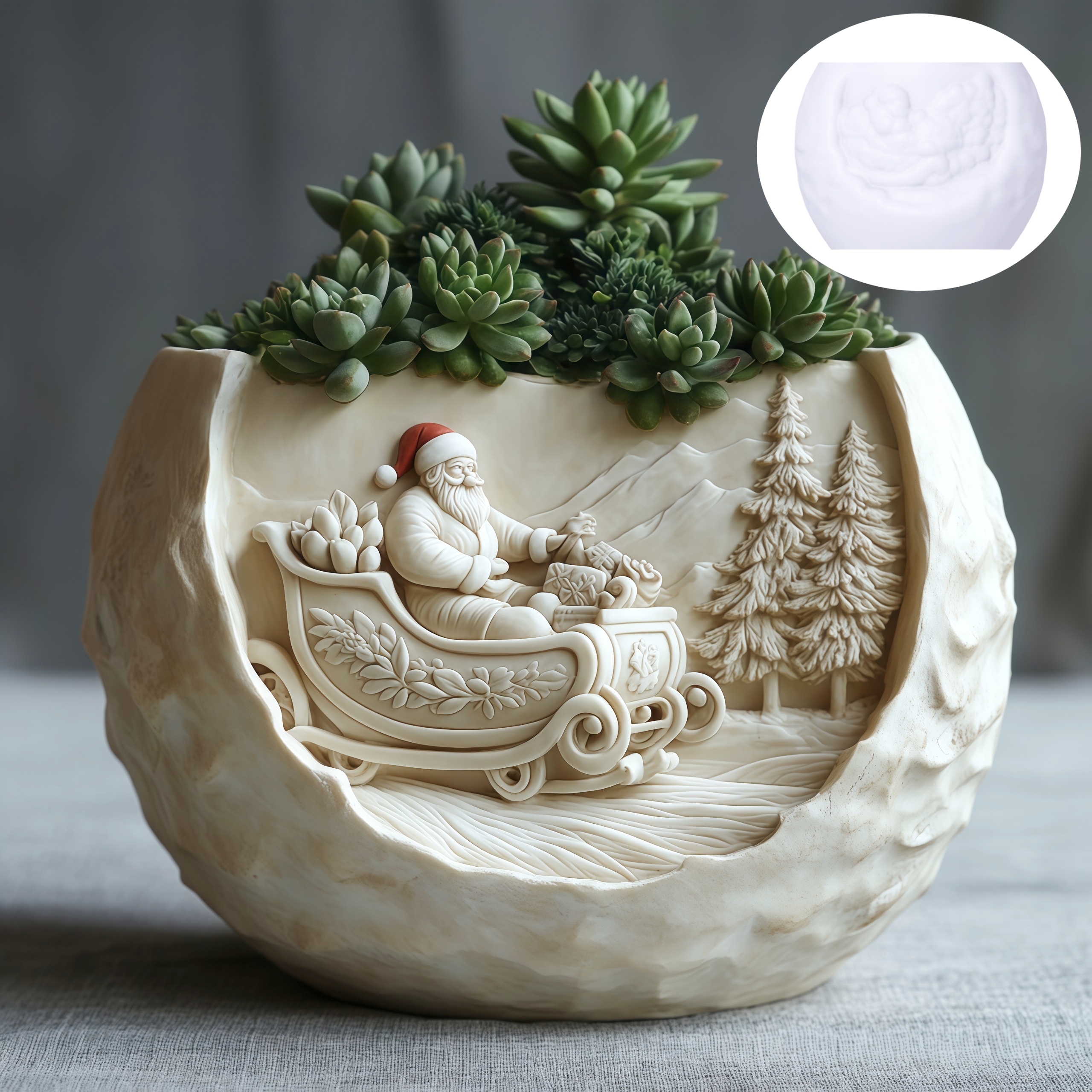 Cedar Sled Santa Claus Relief  - Echeveria Succulent avaliação e preço