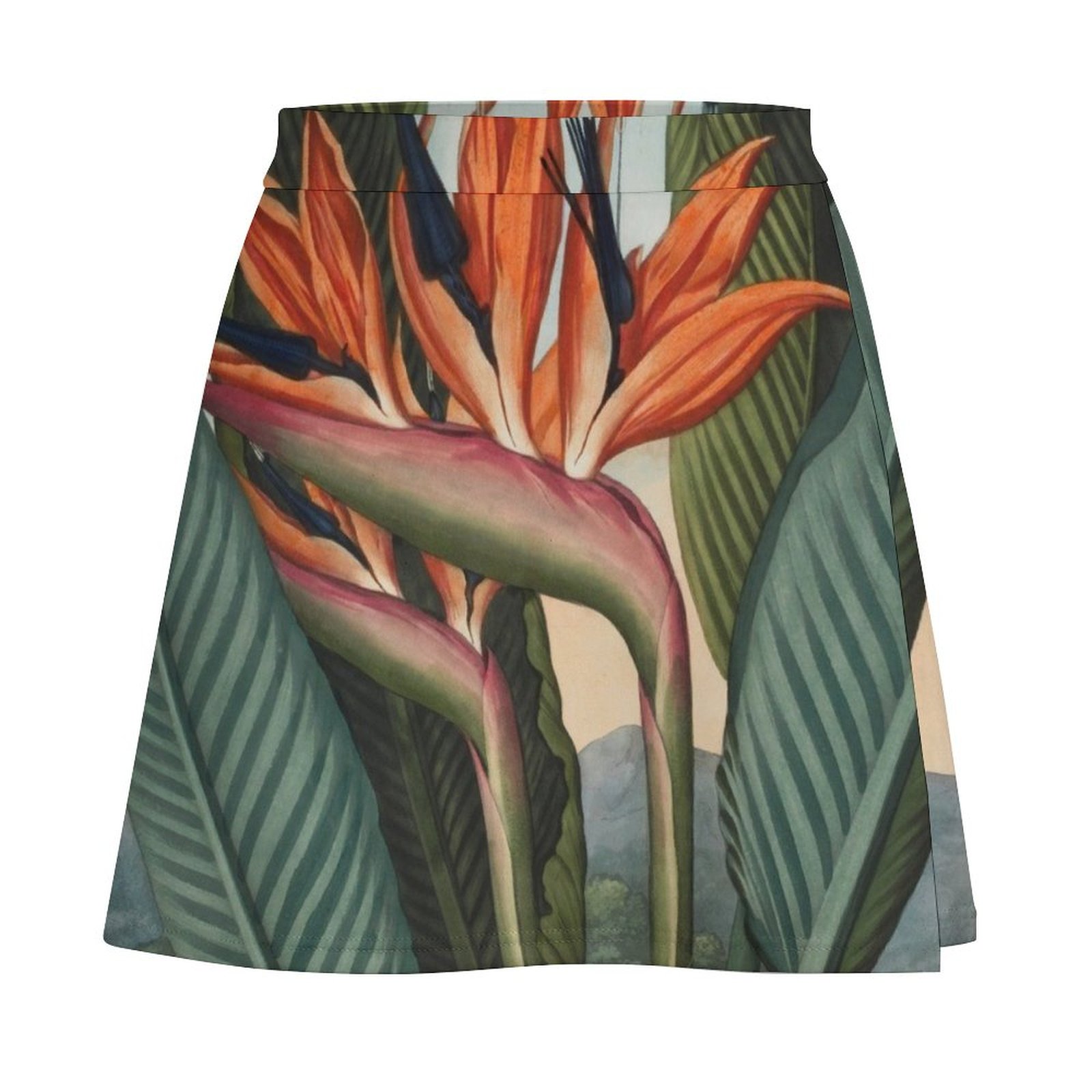 Botanical illustration: Bird o - Bird Paradise Strelitzia avaliação e preço