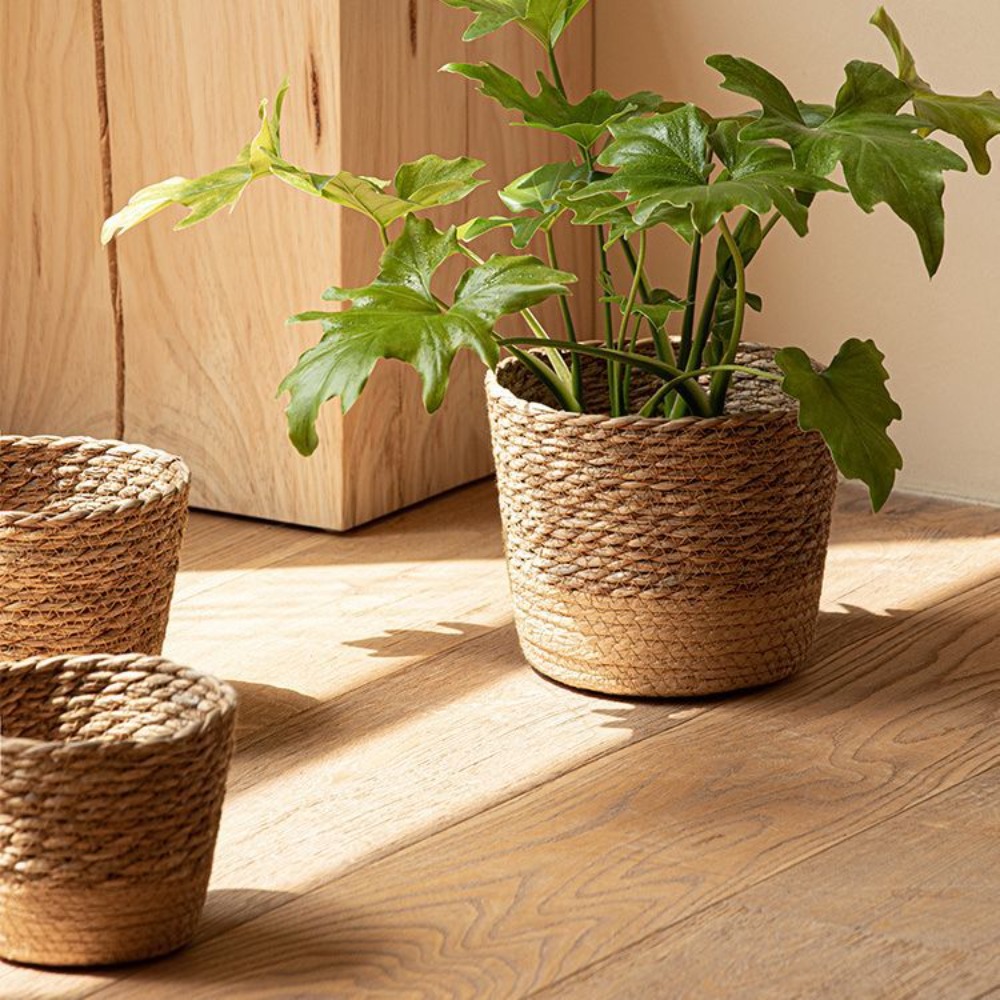 Straw Weaving Flower Plant Pot - Aloe Vera Pot avaliação e preço
