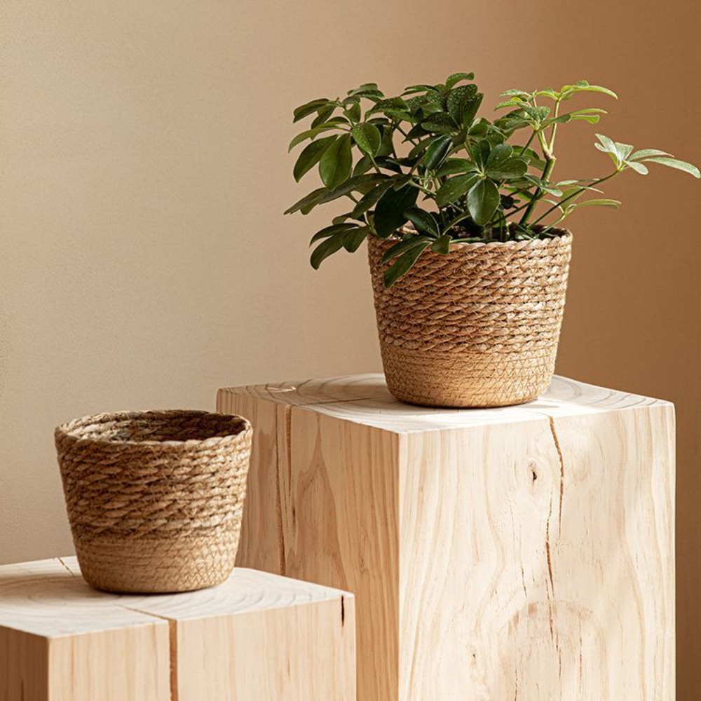 Straw Weaving Flower Plant Pot - Aloe Vera Pot avaliação e preço