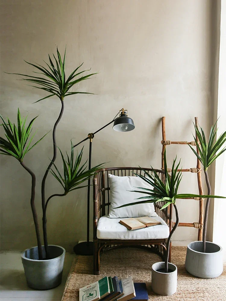 Simulation Plant Dracaena Marg - Dracaena Marginata avaliação e preço