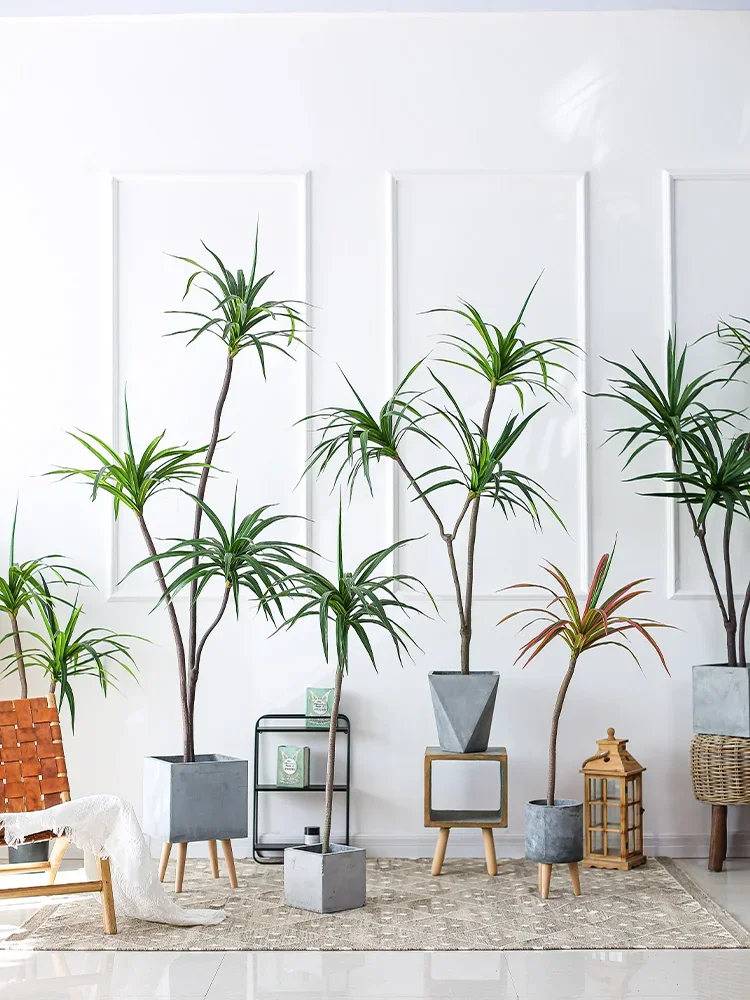 Simulation Plant Dracaena Marg - Dracaena Marginata avaliação e preço