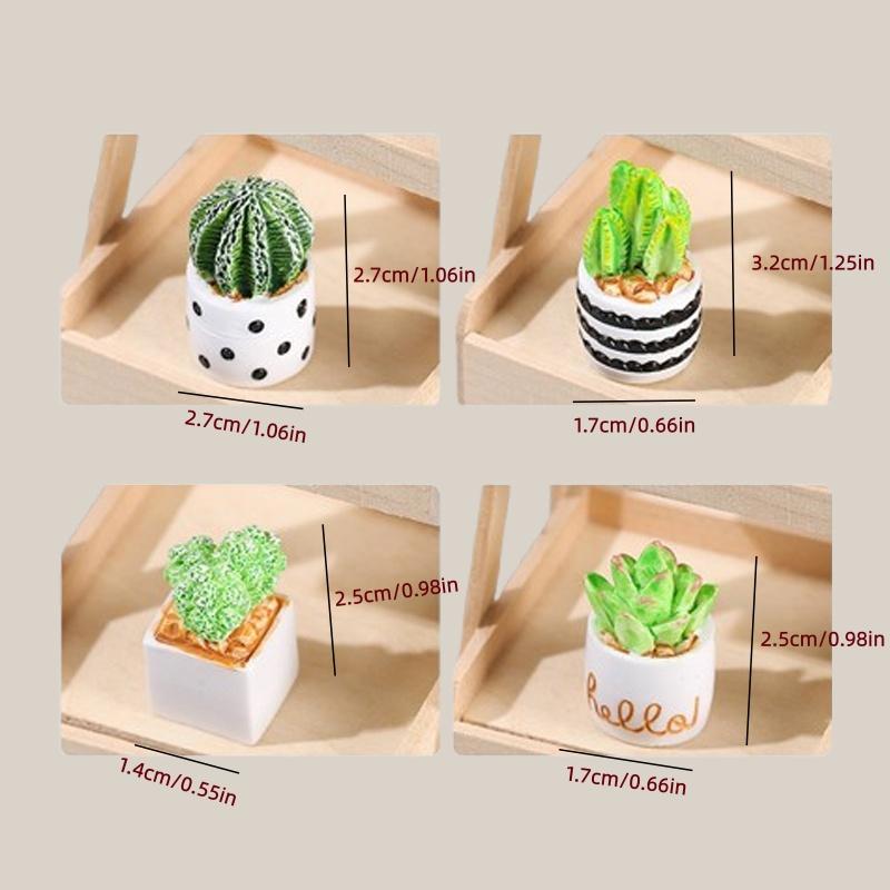 4-Piece Set of Cactus Succulen - Echeveria Succulent avaliação e preço