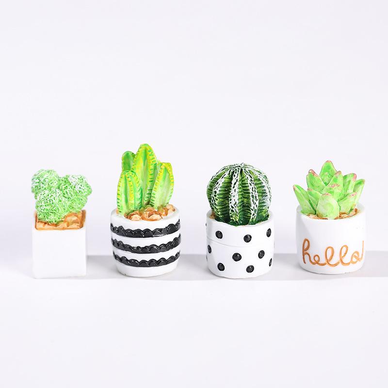 4-Piece Set of Cactus Succulen - Echeveria Succulent avaliação e preço
