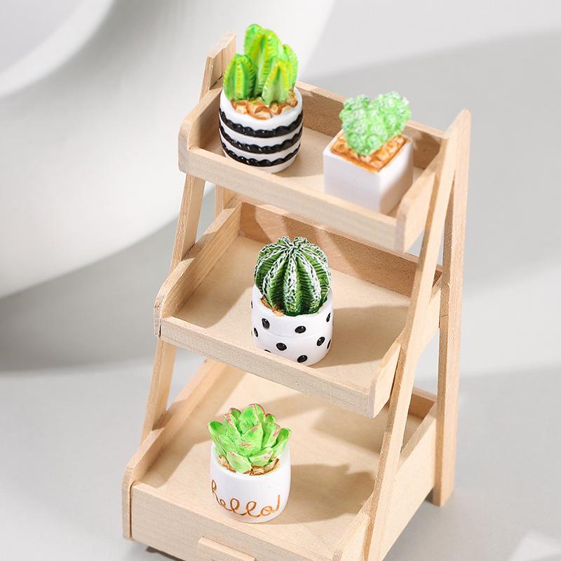4-Piece Set of Cactus Succulen - Echeveria Succulent avaliação e preço