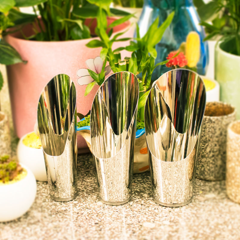 Stainless Steel Bucket Shovel  - Echeveria Succulent avaliação e preço