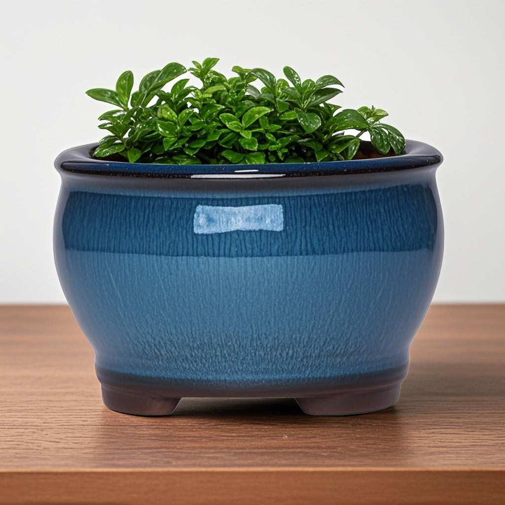 Ceramic Garden Planter Pots Ce - Aloe Vera Pot avaliação e preço