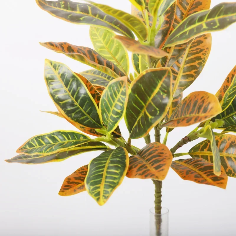 Plastic Artificial Color-chang - Dracaena Marginata avaliação e preço