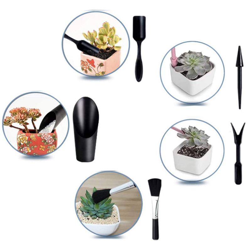 Mini Gardening Tool Set Label  - Echeveria Succulent avaliação e preço