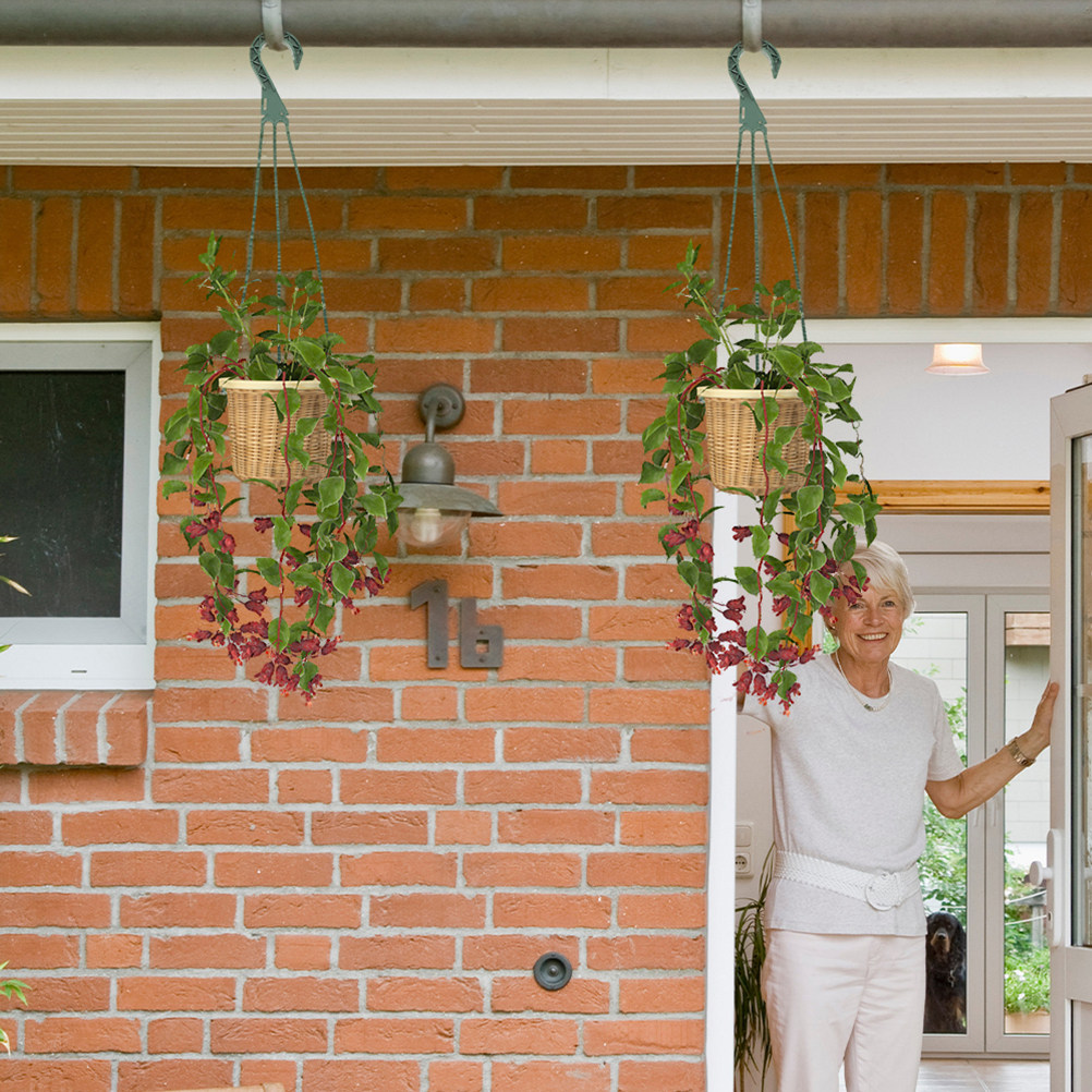 5Pcs Hanging Planter Hooks Ver - Spider Plant Hanging avaliação e preço