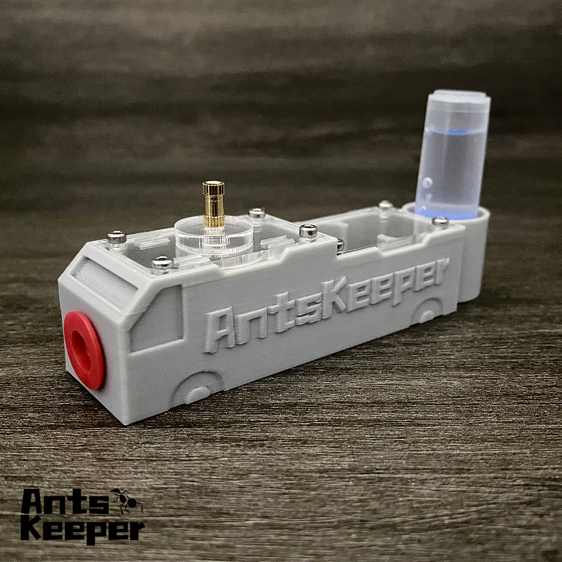 【Truck】Ant Farm for Ants keepe - Begonia Rex avaliação e preço