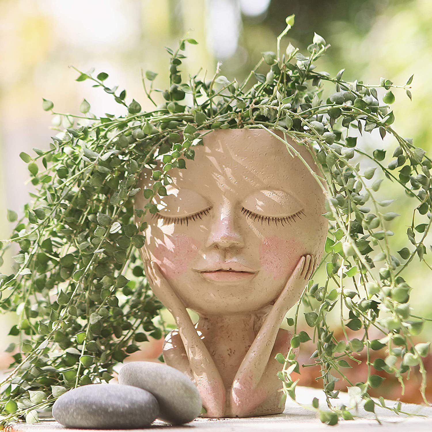 Girls Face Head Flower Planter - Echeveria Succulent avaliação e preço