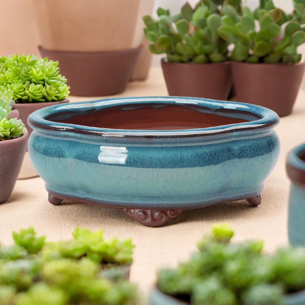 Ceramic Succulent Flower Pot C - Pilea Peperomioides avaliação e preço